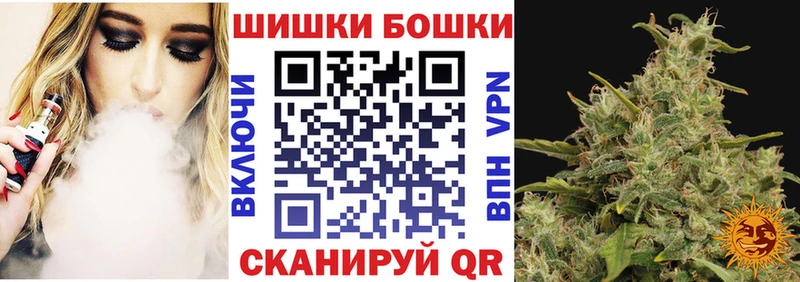 Цена Новозыбков Канабис  Alpha PVP  ГАШИШ  АМФЕТАМИН  Кокаин  МДМА  МЕФ 