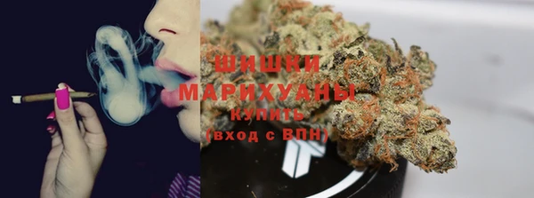 трава Верея