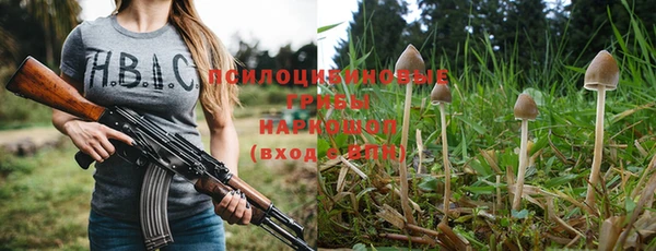 трава Верея