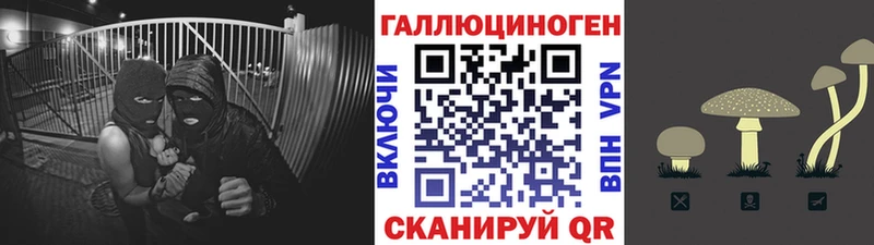 Псилоцибиновые грибы мухоморы  Новозыбков 